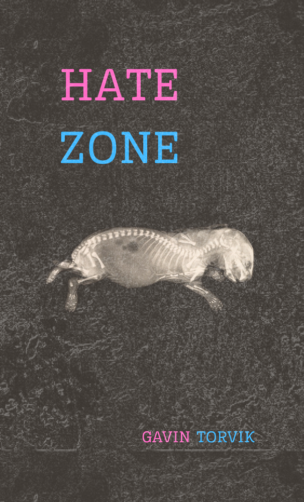 hate zone